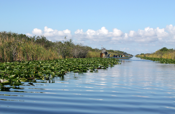 things to do with kids in Miami