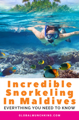 Incredible Snorkeling in Maldives: Everything You Need to Know | Global ...