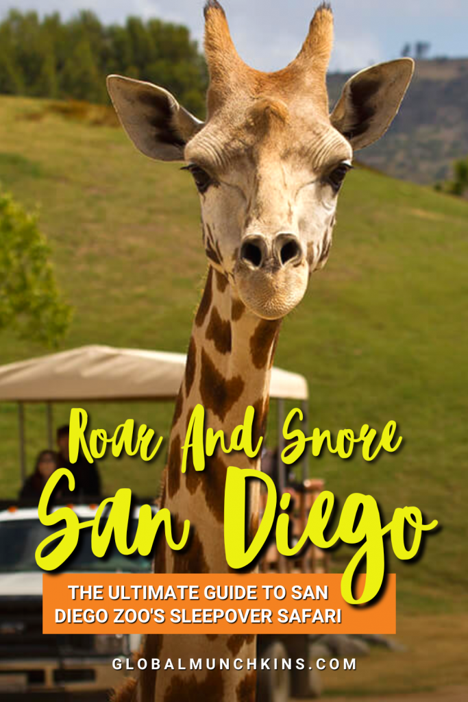 san diego safari park sleepover reviews