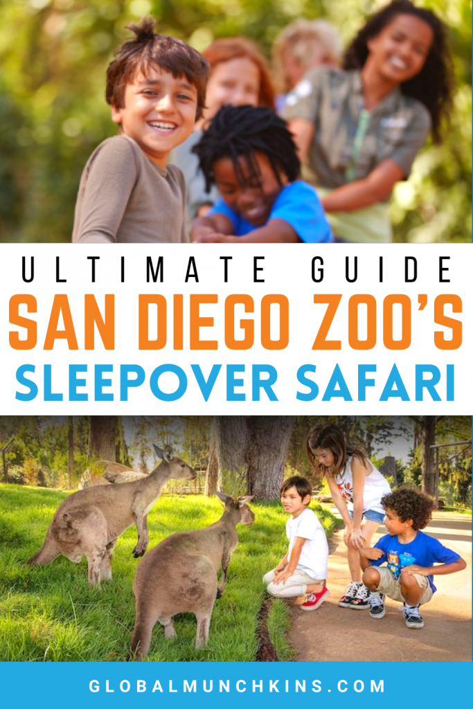 Roar and Snore San Diego: The Ultimate Guide to San Diego Zoo’s