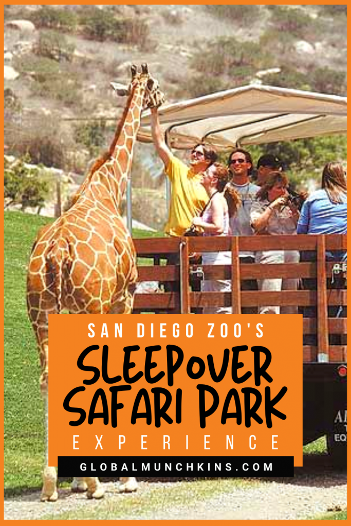 safari park roar and snore prices