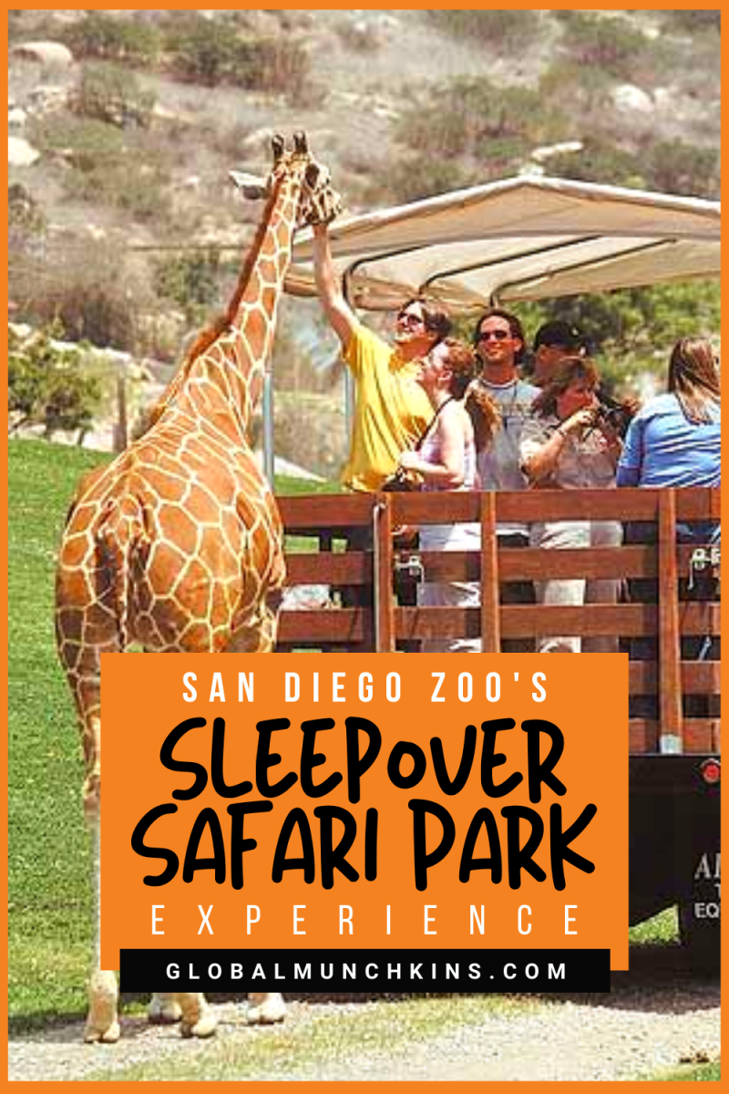 san diego zoo safari park overnight