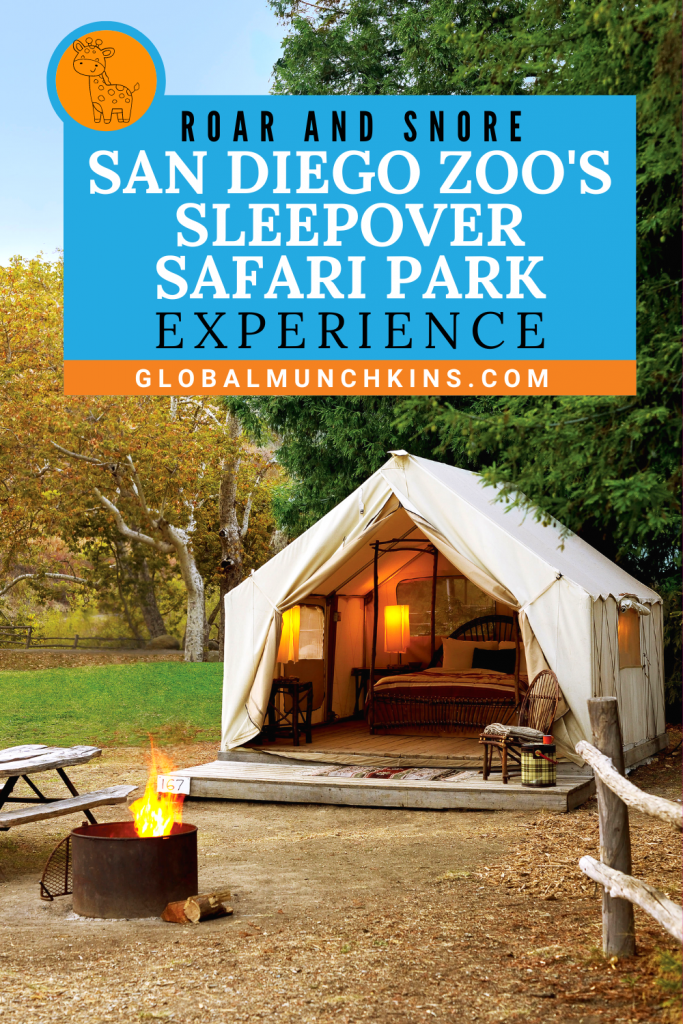 san diego zoo safari park sleepover