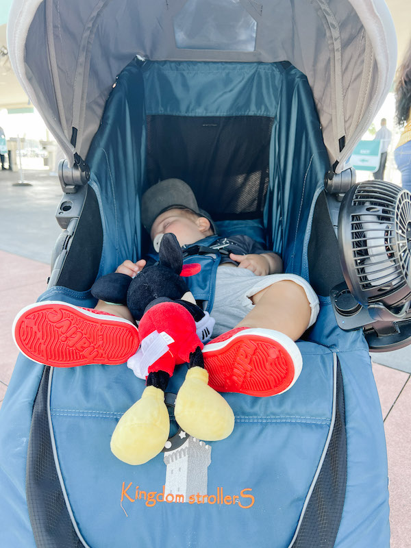 baby lying in kingdom stroller rental