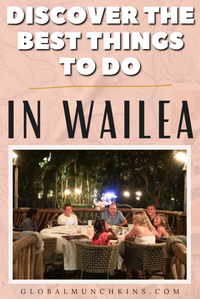 what to do in wailea and kihei