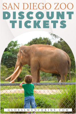 [10 Easy Ways] To Score San Diego Zoo Discount Tickets