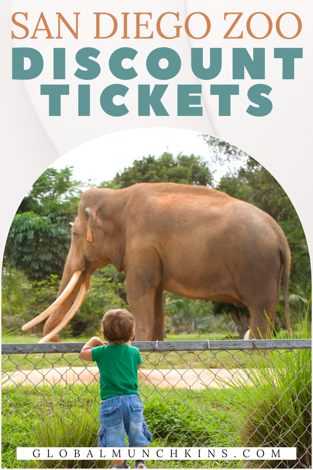 [10 Easy Ways] to Score San Diego Zoo Discount Tickets