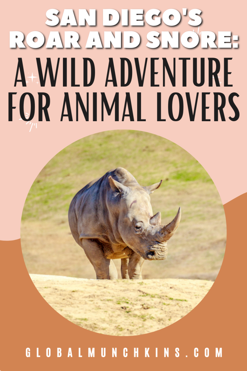 Roar and Snore San Diego The Ultimate Guide to San Diego Zoo’s