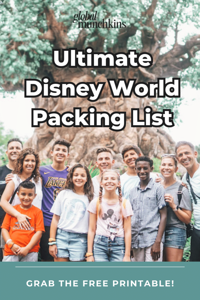 disney world packing list - pinterest graphic