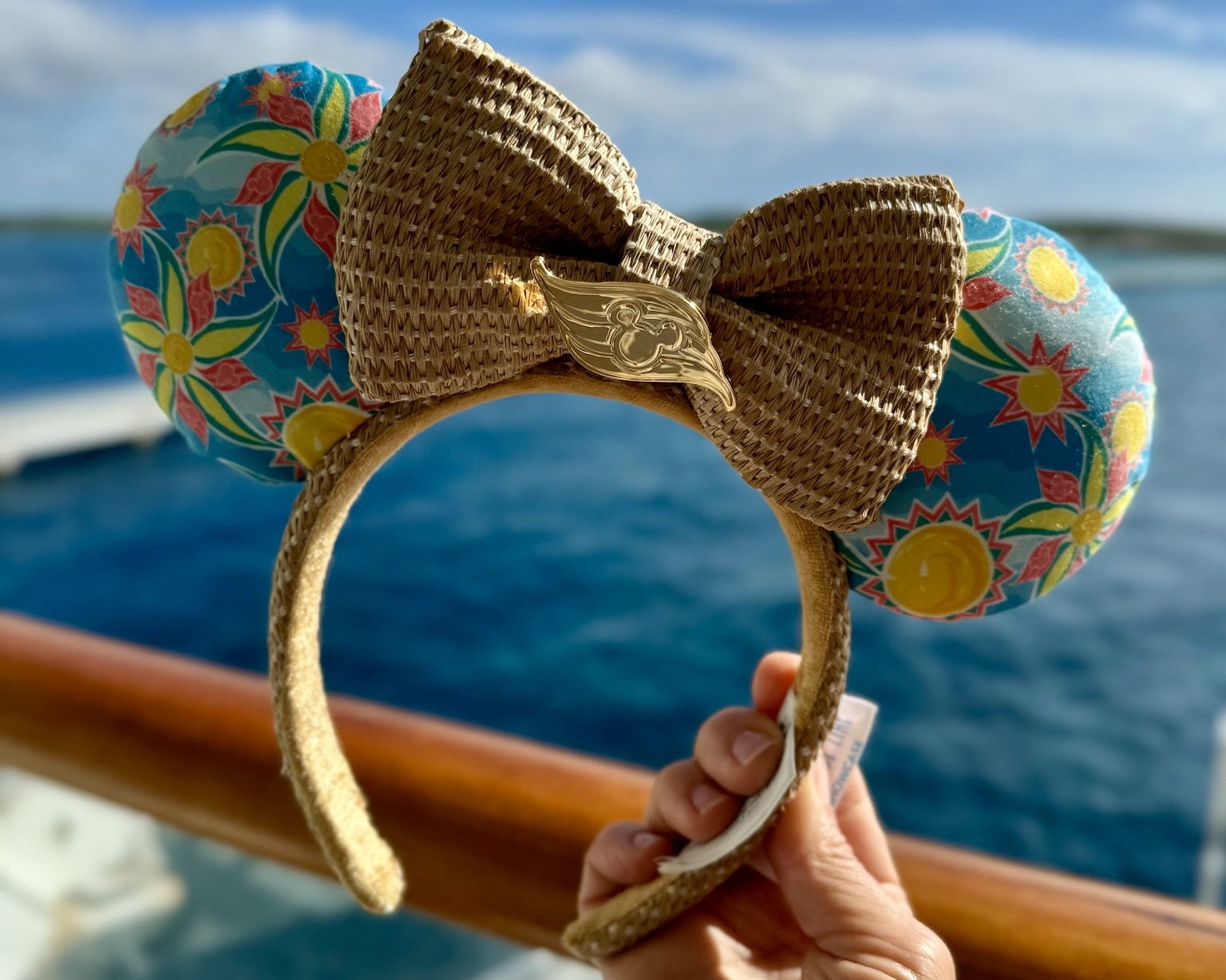 Mickey Mouse cruise ears