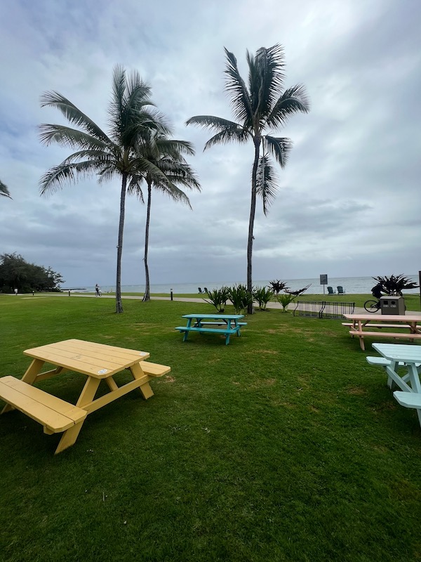 rainy day activities in kauai