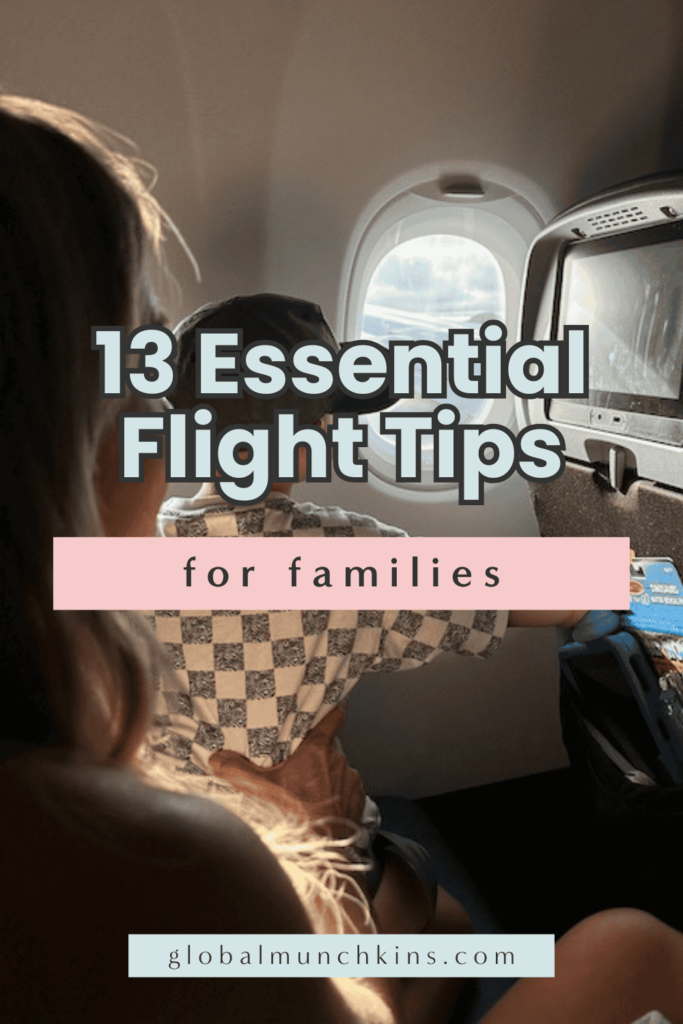 family flight tips pinterest graphic