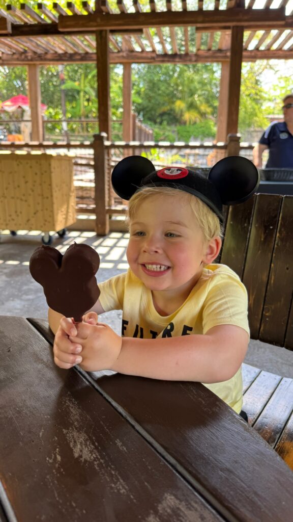 Disney World's Toddler's Guide: Tips for Magic Travel, Rides and Essential Tips 3 IMG 4675