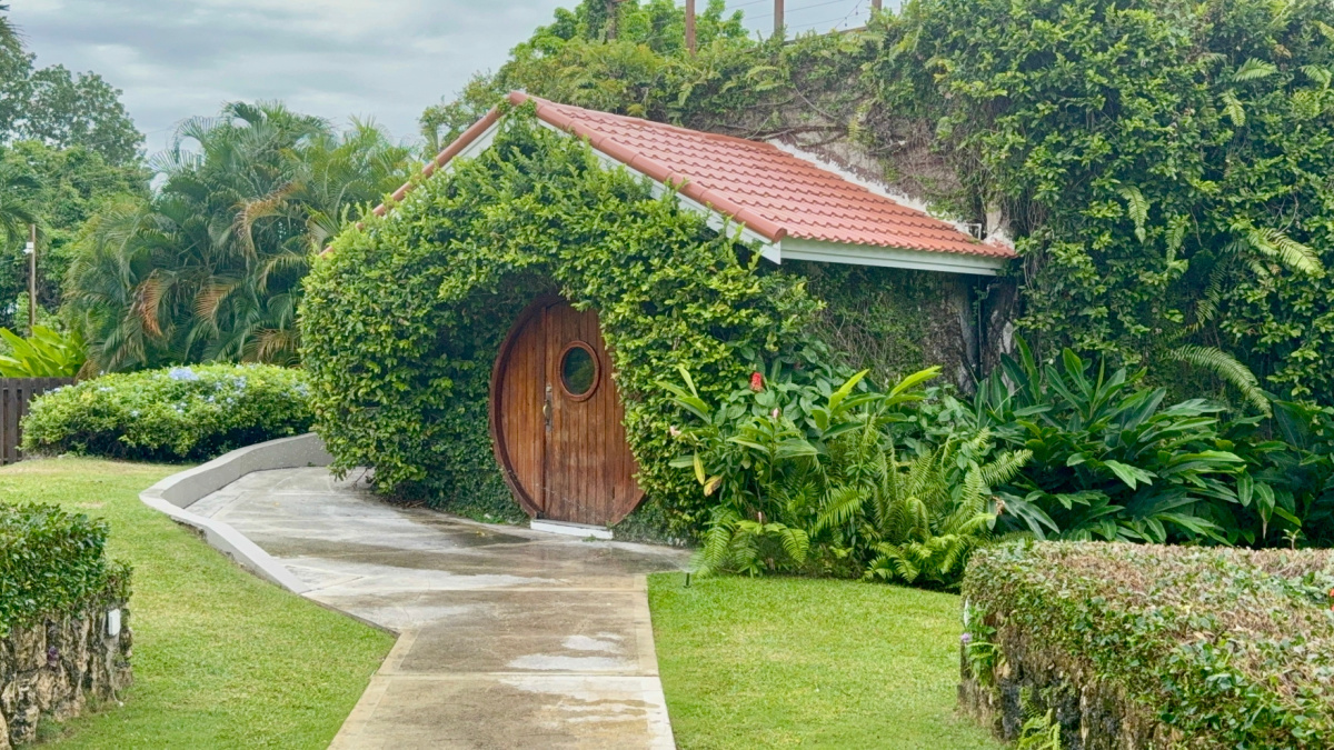 Rabbit Hole Speak Easy Sandals Ochi Rios Resort Jamaica