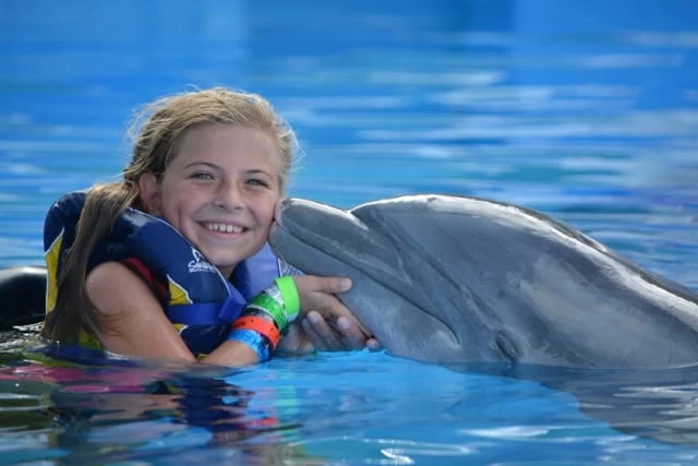 The Best Top 18 Summer Vacation Ideas 17 Top Things To Do in Oahu. Include Sea Life Park Hawaii. Check out more on GlobalMunchkins.com