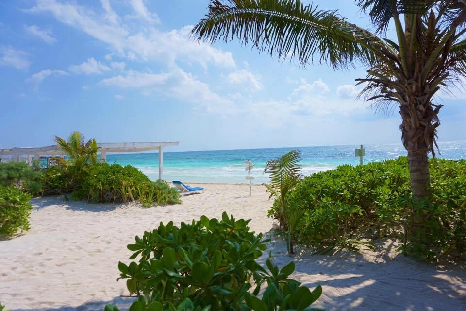 The Best Tropical Vacation Packing List + What To Leave Behind! 1 Check out the coolest cabanas in Tulum + learn where to eat and what to do while you are there.