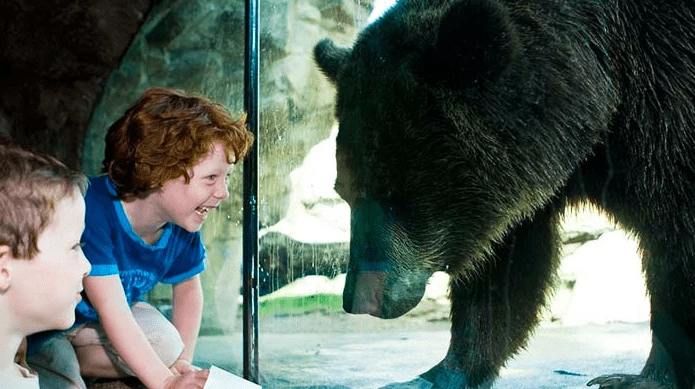 21 Wonderful Things to do in Minneapolis with Kids 8 Screen Shot 2019 10 15 at 3.39.06 PM