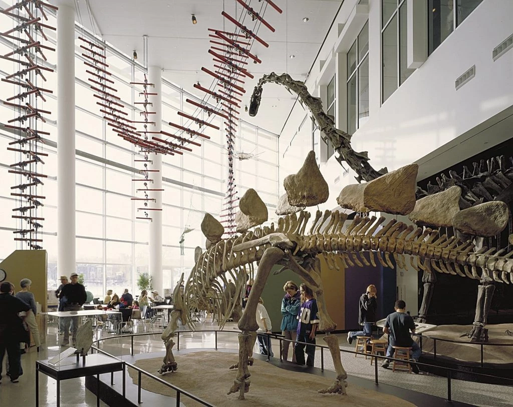 21 Wonderful Things to do in Minneapolis with Kids 10 dinosaurs