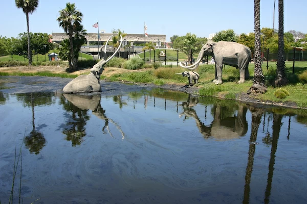 15 of the Best Things to Do In Hollywood, CA 15 things to do in hollywood