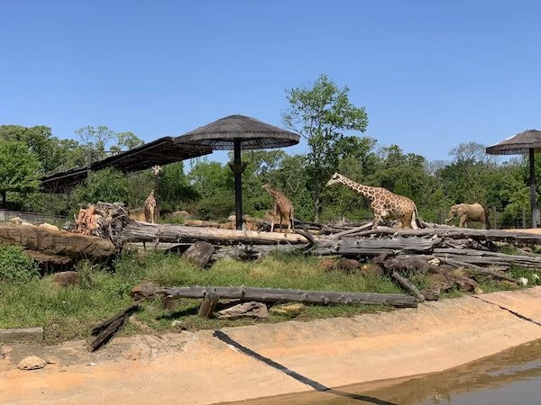 15 Amazing Things to do in Tyler Texas with Kids! 1 things to do in Tyler Texas with kids