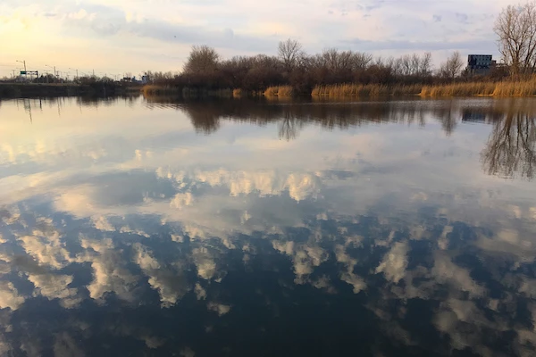 15 Amazing things to do in Buffalo With Kids 5 things to do in Buffalo with kids