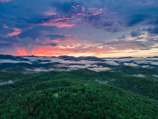 16 of the Best Things to Do in Asheville with Kids! 6 things to do in Asheville with kids