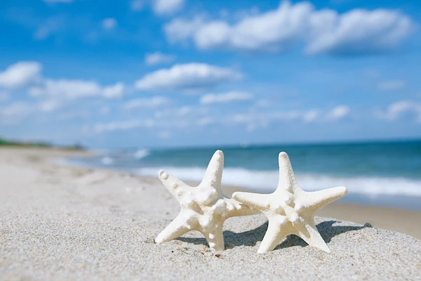 15 Exciting Things To Do in Panama City Beach! 12 things to do in Panama City Beach