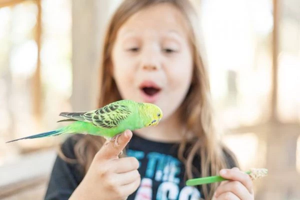 15 Exciting Things To Do in Panama City Beach! 2 things to do in Panama City Beach