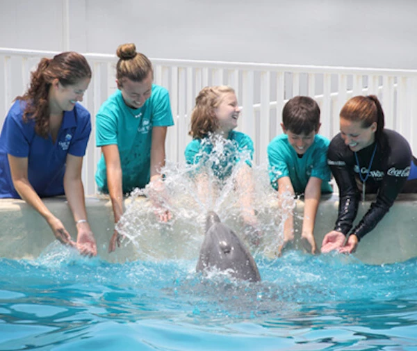 15 Exciting Things To Do in Panama City Beach! 9 things to do in Panama City Beach