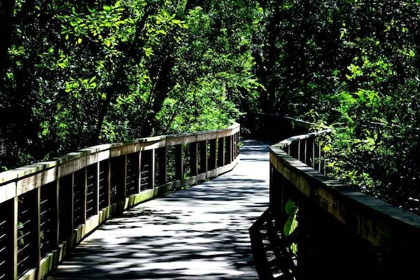 15 Awesome Things to do in Jacksonville with Kids! 5 things to do in Jacksonville with kids