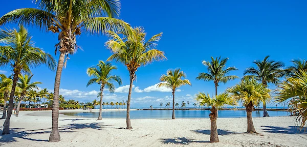 12 Awesome Things To Do with Kids in Miami you'll Love! 6 things to do with kids in Miami