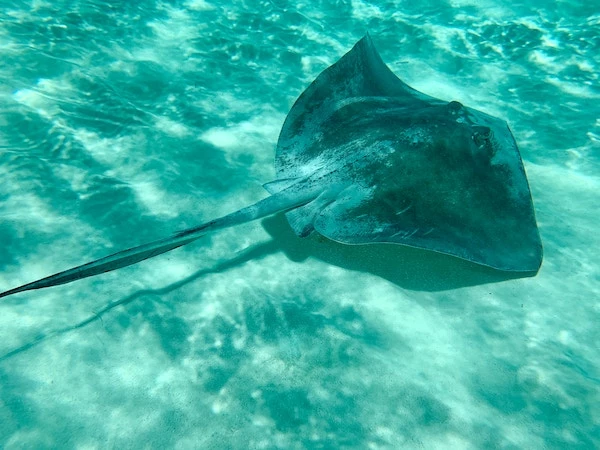 Top 20 of the Best Things to Do in 30A, Florida! 29 things to do in 30a