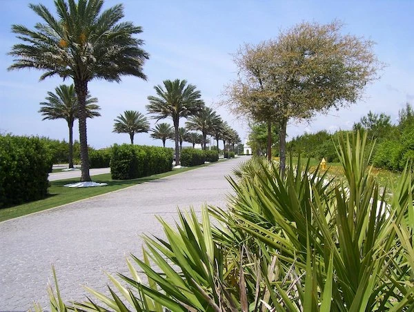 Top 20 of the Best Things to Do in 30A, Florida! 13 things to do in 30a